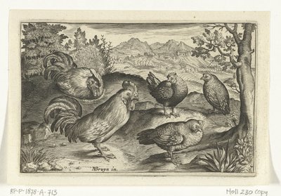 三只鸡和两只公鸡 鸟类和昆虫（系列名称） 作者 尼古拉斯·德·布鲁因