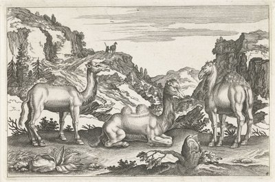 单峰驼和骆驼
四脚动物（系列名称）
动物 Qvaddrvpedvm（系列名称） 作者 Nicolaes Visscher (I) (归属于)
