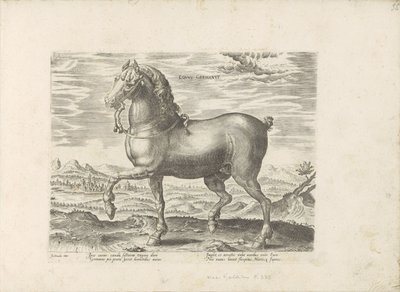 德国马
德国马
奥地利唐璜皇家马厩中的马种（系列标题）
Equile, in quo omnis generis generosissi: morum equorum ex varijs orbis partibus insignis delectus（......）（文物标题系列 作者 Hans Collaert (I)（拒绝归属）