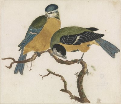 树枝上的一只蓝山雀和一只大山雀 作者 约翰·泰勒
