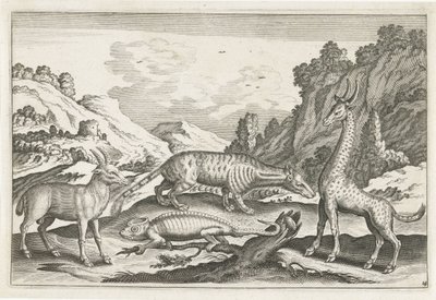外来动物
四脚动物（系列名称）
动物 Qvaddrvpedvm（系列名称） 作者 Nicolaes Visscher (I) (归属于)