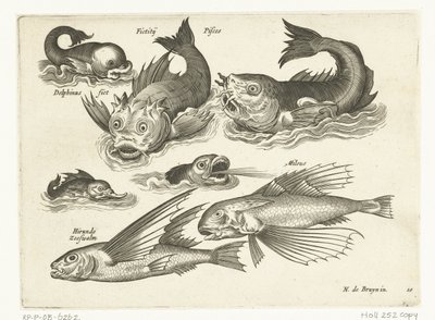 奇妙的水生动物，包括海豚和坑鱼 Libelivs varia Genera piscium complectens（系列名称） 淡水鱼、咸水鱼、青蛙、甲壳类动物和海洋生物（系列标题） 作者 克拉斯·扬斯。维舍尔 (II)