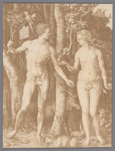 阿尔布雷希特·丢勒 (Albrecht Dürer) 雕刻的《亚当和夏娃》的照片复制品 作者 无名氏