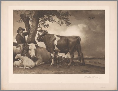 保卢斯-波特的油画《公牛》的摄影再现，莫里茨美术馆收藏
1904 - No./ Königl.海牙博物馆（系列名称） 作者 里法斯和西。迈森巴赫