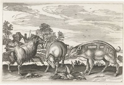 山羊和野猪 四足动物（系列名称） Animalivm Qvaddrvpedvm（系列标题） 作者 Nicolaes Visscher (I) (归属于)