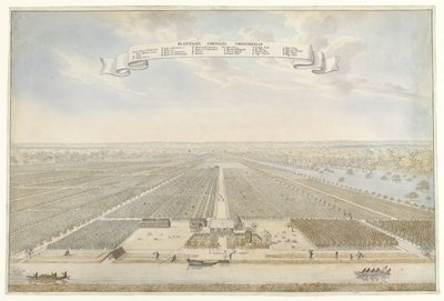 苏里南 Cornelis Vriendschap 种植园景观
科内利斯-弗里奇查普种植园（物体上的标题） 作者 无名氏