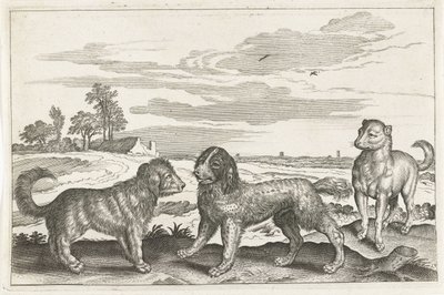 Honden
Vierpotige dieren（系列名称）
Animalivm Qvaddrvpedvm（系列名称） 作者 Nicolaes Visscher (I) (归属于)