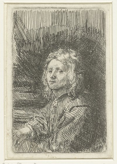 年轻人 作者 伦勃朗·范·莱恩 (Rembrandt van Rijn)