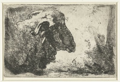公羊头 作者 伦勃朗·范·莱恩 (Rembrandt van Rijn)