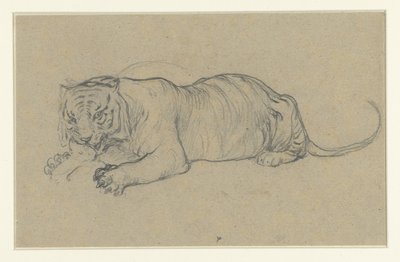 卧虎撕下一块肉 作者 Antoine Louis Barye（拒绝归属）