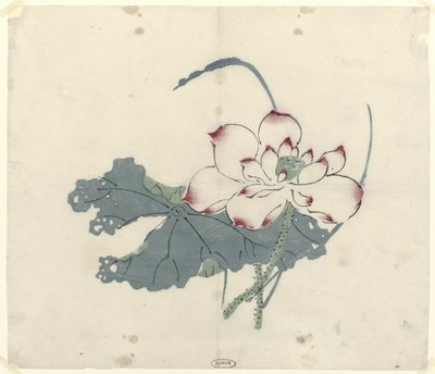 莲花 作者 无名氏