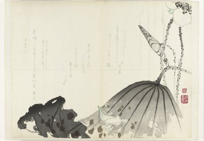 荷叶
1840-1900 年间的四条和服画册（系列名称） 作者 无名氏