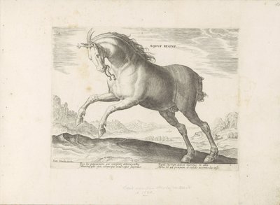 皇家马（Equus Regius 品种）
Equus Regius（物品上的标题）
来自奥地利唐璜皇家马厩的马种（系列标题）
Equile, in quo omnis generis generosissi: morum equorum ex varijs orbis partibus insignis 作者 无名氏