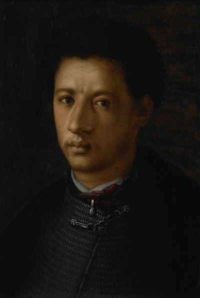 亚历山德罗-美第奇肖像 作者 Jacopo Pontormo（拒绝归属）