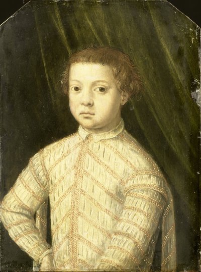 男孩肖像，被认为是乔凡尼·德·美第奇（1543-1562） 作者 Angelo Bronzino（拒绝归属）