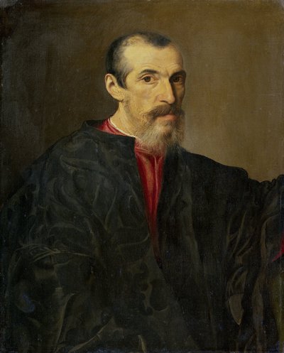 一个男人的肖像 作者 Giovanni Girolamo Savoldo（拒绝归属）