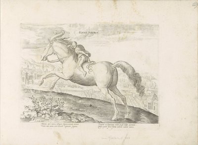 赛马与骑手
Equus Maurus（物品上的标题）
奥地利唐璜皇家马厩中的马种（系列标题）
Equile, in quo omnis generis generosissi: morum equorum ex varijs orbis partibus insignis delectus (...) （系列标题 作者 Hendrick Goltzius（拒绝归属）