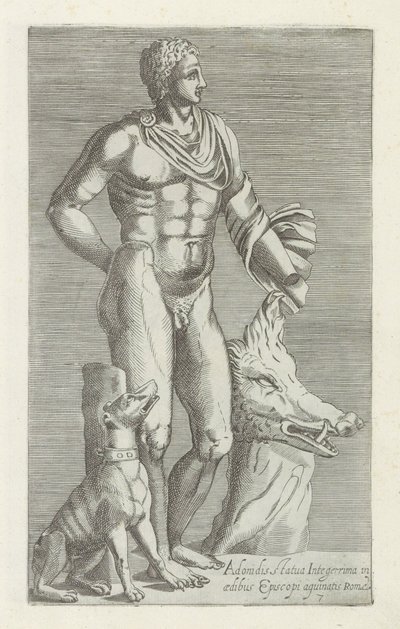 阿多尼斯与猎犬和野猪头的雕塑
Adonidis statua integerrima in aedibus Episcopi aguinatis Romae（物体上的标题）
罗马的古代雕塑（系列名称）
在公共场所可见的罗马古城雕像图标 作者 无名氏