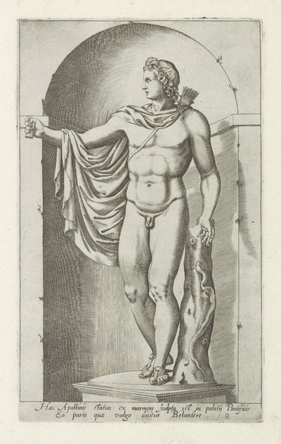 阿波罗雕塑
阿波罗美景宫
Haec Apollinis statua ex marmore sculpta est in palatij pontificis (...) （物品上的标题）
罗马的古代雕塑（系列名称）
Antiquarum statuarum urbis Romae quae in publicis locis visuntur icones（系列标题 作者 无名氏