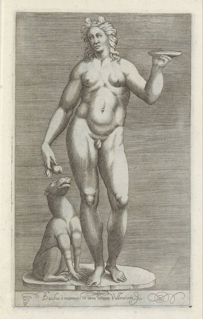 巴克斯雕像和一顶帽子
Bacchus è marmore in area aedium Vallensium（物品上的标题）
罗马的古代雕塑（系列名称）
Antiquarum statuarum urbis Romae quae in publicis locis visuntur icones（系列标题） 作者 无名氏