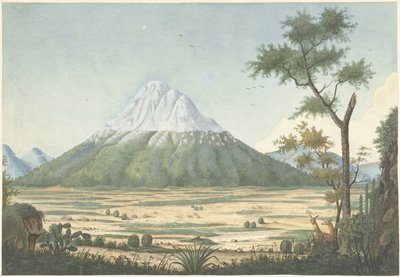 有山的热带景观 作者 Josephus Augustus Knip（拒绝归因）