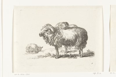 两只公羊和一只卧羊
山羊和绵羊献给 N.P. Berchem（系列标题） 作者 无名氏