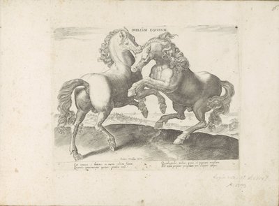 两个小房间
Duellum Equinum（物品标题）
Equile，in quo omnis generis generosissi: morum equorum ex varijs orbis partibus insignis delectus (...) （关于对象的系列标题） 作者 无名氏