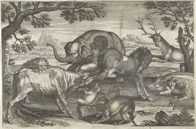 战斗动物 四足动物（系列名称） Animalivm Qvaddrvpedvm（系列标题） 作者 Nicolaes Visscher (I) (归属于)