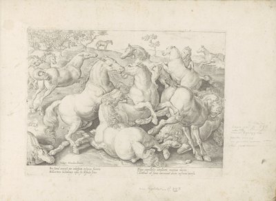 Vechtende paarden
Equile, in quo omnis generis generosissi: morum equorum ex varijs orbis partibus insignis delectus (...) (系列标题，关于对象) 作者 无名氏