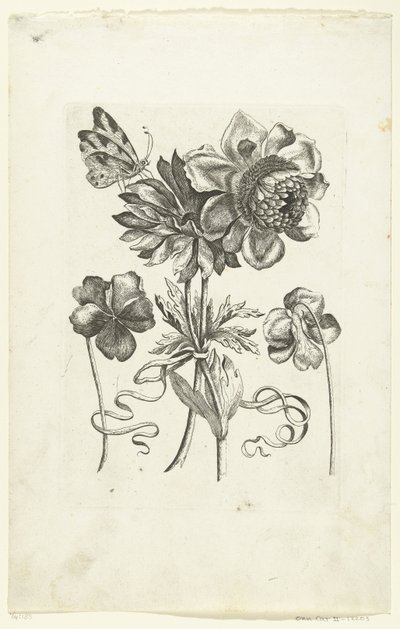 四朵花，包括两朵紫罗兰 Novae Florum Icones（系列标题） 作者 无名氏