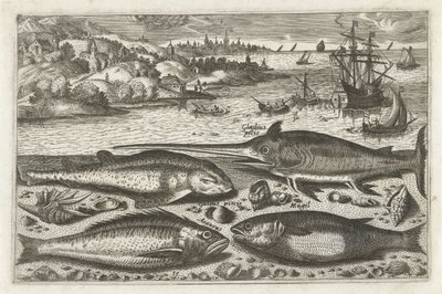 海滩上的四条鱼 双鱼座（系列名） Piscium v​​ivae 图标（系列标题） 作者 Nicolaes Visscher (I) (归属于)