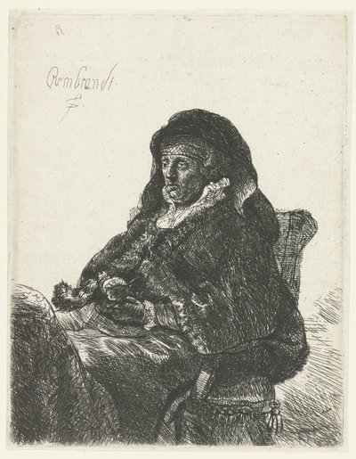 戴黑手套的寡妇
伦勃朗的寡母 作者 伦勃朗·范·莱恩 (Rembrandt van Rijn)