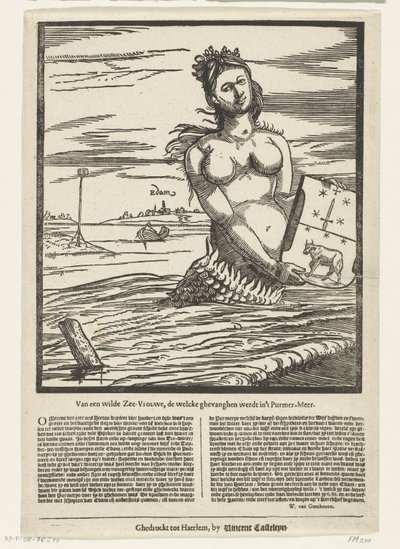 伊丹的美人鱼，1403 年
在普尔默湖捕获的野生海女（标题在实物上） 作者 文森特·卡斯特林