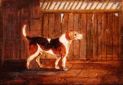 一条猎犬 作者 匿名匿名