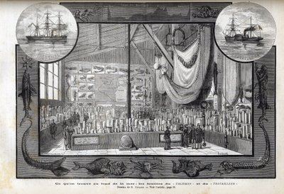 在巴黎自然历史博物馆展出1880年 "工人 "号和 "护身符 "号的科学考察期间形成的收藏品。 作者 匿名匿名