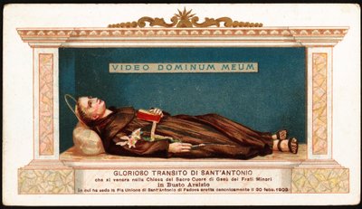 帕多瓦的圣安东尼（san antonio di padova）躺在布斯托-阿西兹奥的小兄弟的耶稣圣心教堂里。我们看到圣人用拉丁语说的最后一句话 "Video Dominum meum"（我看到我的主）。虔诚的形象。20世纪 作者 Anonymous Anonymous