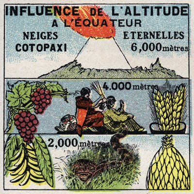 气象学：海拔高度对气候的影响。1925年的匿名插图。私人收藏。 作者 匿名匿名