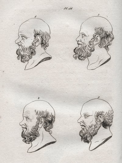 Physiognomy - Physiognomony - Several heads of the Greek philosopher Socrates (ca. 469 BC-399 BC) (Bust of Socrates (ca 469 BC-399 BC), Athenian philosopher) engraving of 1808 in “The art of knowing men through physiognomy” by Johann Gaspar (Gaspard) Lavat 作者 匿名匿名