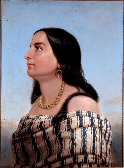 朱塞佩·加里波第 (Giuseppe Garibaldi) 匿名画作的妻子安妮塔·加里波第 (1821-1849) 的肖像。 私人收藏 作者 匿名匿名