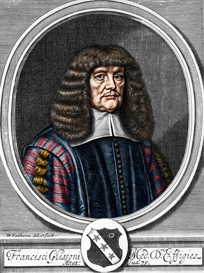 弗朗西斯-格利森（1599-1677）的肖像，英国医生，解剖学家。 作者 匿名匿名