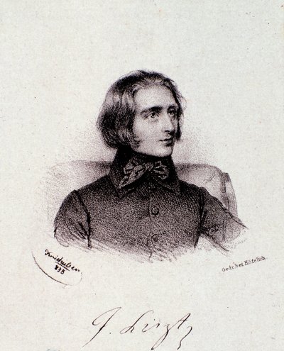 Portrait of hungarian composer Franz Liszt (1811-1886) Engraving. 19th century. Milanese private collection 作者 匿名匿名