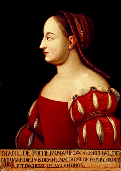 瓦伦蒂诺公爵夫人戴安娜·德普瓦捷 (1499-1566) 的肖像，法国国王亨利二世的最爱 作者 匿名匿名