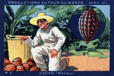 世界各地的生产：墨西哥的可可。 1933 年“约瑟夫-米利亚特专辑”中的色谱法 作者 匿名匿名