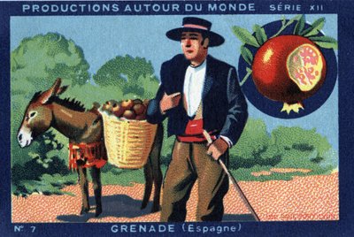 世界各地的制作：西班牙的格拉纳达。 1933 年“约瑟夫-米利亚特专辑”中的色谱法 作者 匿名匿名