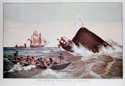 Sperm whales in the whirlpool, capsizes small boats. Lithograph from the beginning of the 19th century Private Collection 作者 匿名匿名