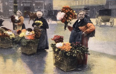 菊花党：街上的菊花商人。雕版画。1910年11月20日《小巴黎》报之一。私人收藏。 作者 匿名匿名