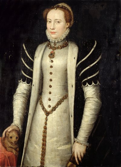 与小狗的Noblewoman的肖像，1555（橡木面板上的油） 作者 Anthonis Mor