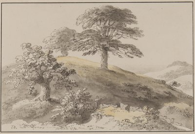 苏塞克斯：靠近圣玛莎，奥尔伯里（钢笔，画笔，墨水和纸张上的纸） 作者 安东尼·戴维斯