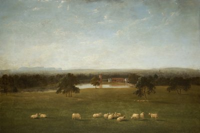 Tabley：公园的旧大厅 作者 安东尼·戴维斯