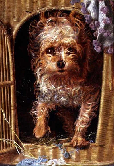 达比，一只约克夏梗犬（板面油画） 作者 安东尼·弗雷德里克·奥古斯都·桑迪斯